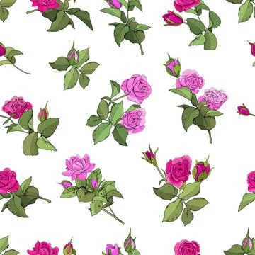 Flowers seamless pattern. Vector hand drawn illustration of roses. For textil Stock Illustration