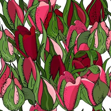 Flowers seamless pattern. Vector hand drawn illustration of roses. For textil Stock Illustration