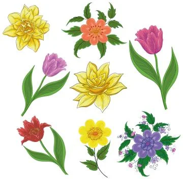Flowers, set Stock Illustration