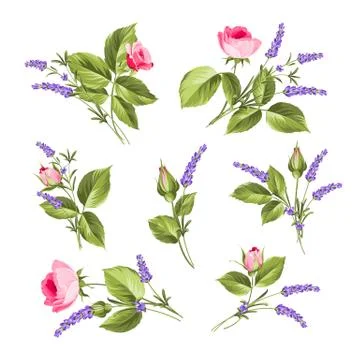 The Flowers set Stock Illustration