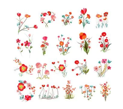 Flowers Set Stock Illustration