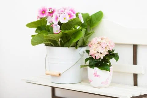 Flowers on a shelf Stock Photos