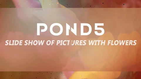 Flowers Slideshow Stock After Effects