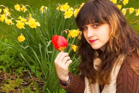 The flowers of spring Stock Photos