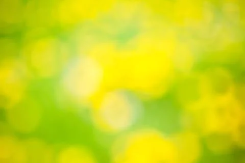 Flowers in spring time Foto stock