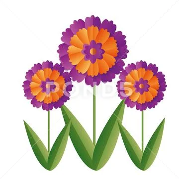 Flowers stem leaves Stock Illustration