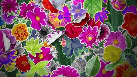 Flowers Stickers Background Stock Footage 293932780