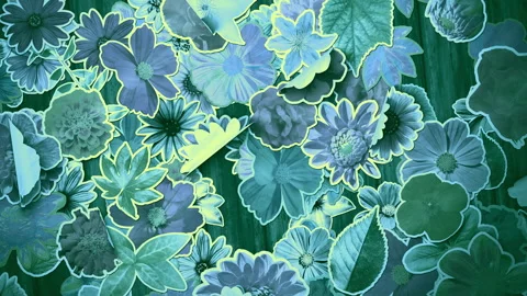 Flowers Stickers Collage Background Stock Footage 293933695
