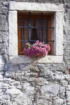 Flowers on stone window Stock Photos