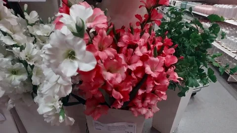 Flowers in the store. Video stock 79191439