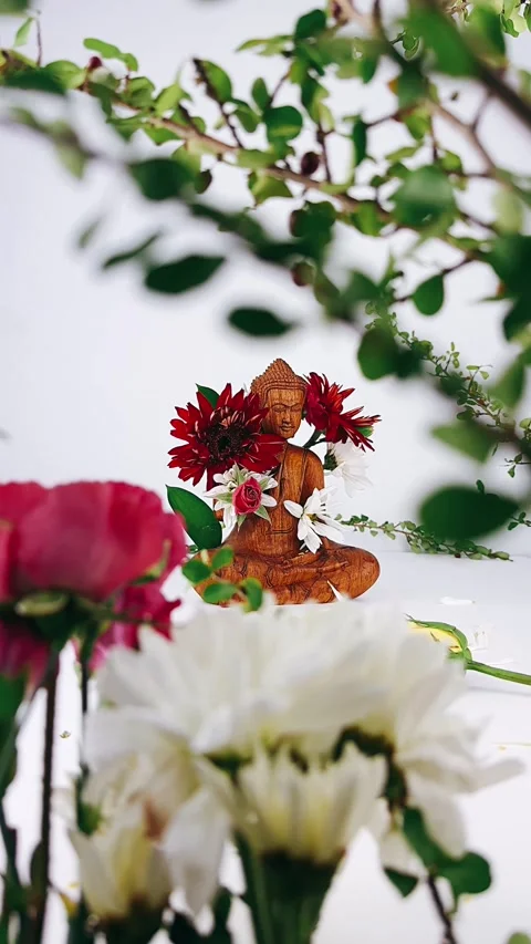 Flowers, studio, statue, buddha statue, spiritual, flower and buddah, Stock Footage 245859551