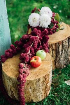 Flowers on the stumps Stock Photos