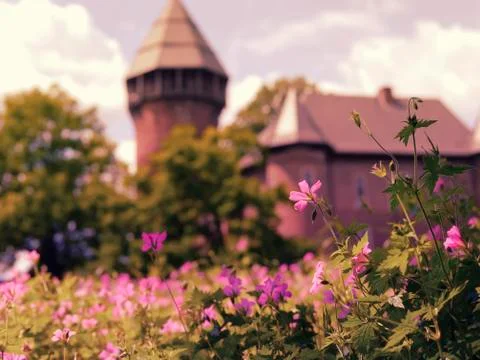 Flowers at sunset on background castel 写真素材