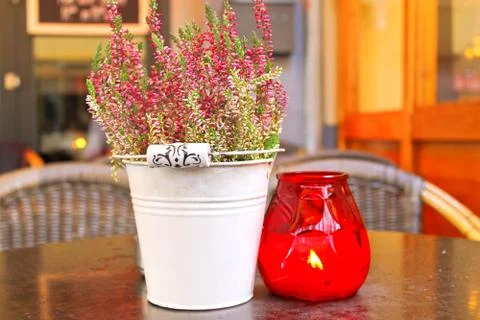 Flowers on the table in a cafe Stock Photos