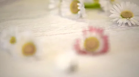 Flowers table decoration Stock Footage 63378400