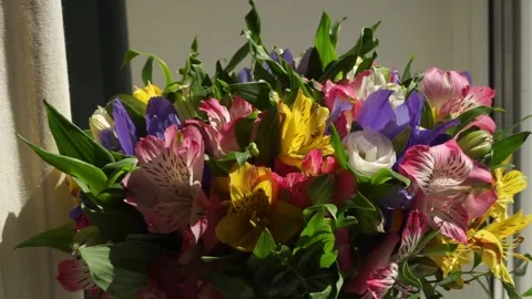 Flowers on the table Stock Footage 163566737