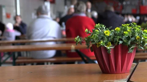 Flowers on the table at the holiday Stock Footage 109486114