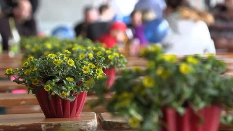 Flowers on the table at the holiday Stock Footage 109532168