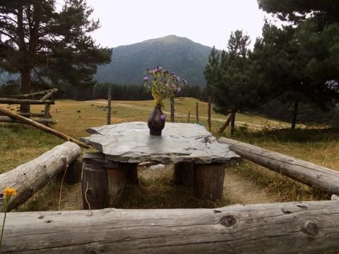 Flowers table in the mountains Stock Photos