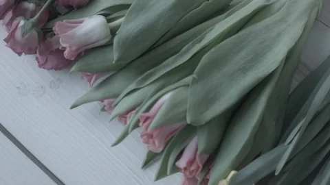 Flowers on table (no colorgraiding) Stock Footage 127979295