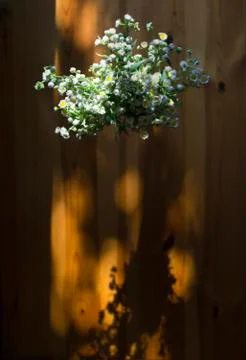 Flowers on a table Stock Photos