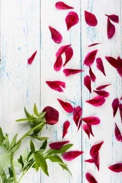 Flowers on the table Foto stock