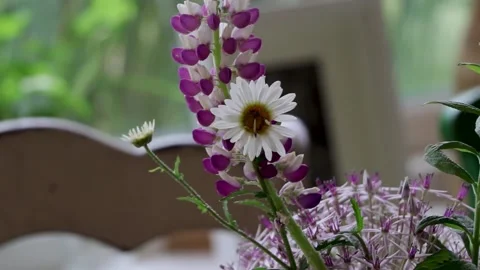 Flowers on table, pythouse kitchen gardens, wiltshire, indoors 스톡 동영상 137394747