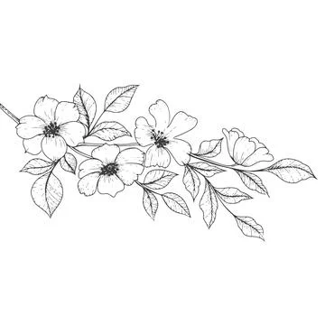 Flowers in the technique of hand drawing Stock Illustration