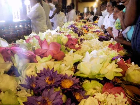 Flowers in a temple Stock Photos