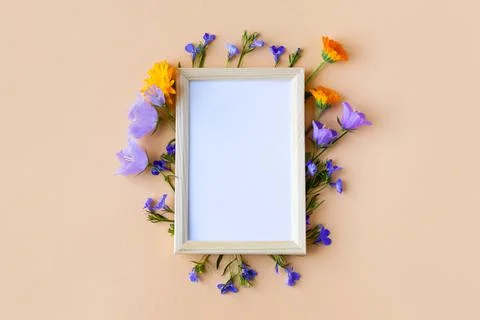 Flowers with a text frame Stock Photos