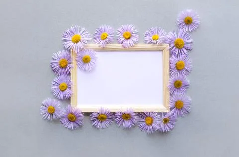 Flowers with a text frame Stock Photos