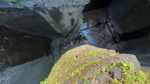 Flowers on the top of wall and multiple walls covered, historical walls. Stock Footage 287751119