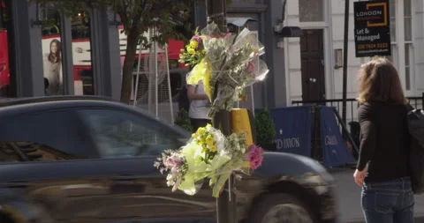 Flowers traffic lights Stock Footage 152475478