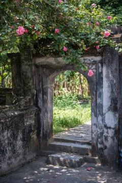 Flowers on Trees Stock Photos