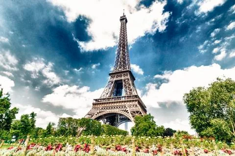 The flowers under the Eiffel tower Stock-Fotos
