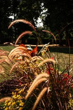 Flowers under the fields Foto stock