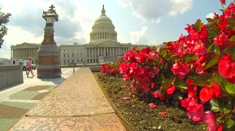 Flowers at the US Capitol Stock Footage 58823812