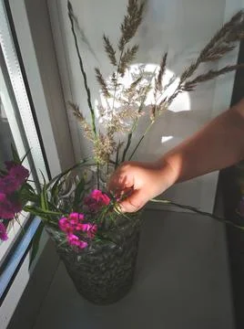 Flowers in a vase and shadow reflection on the wall Stock Photos