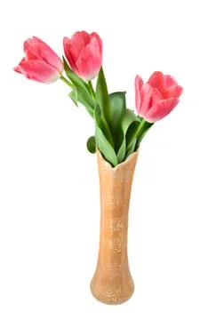 Flowers in a vase Stock Photos