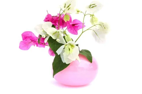 Flowers in vase Stock Photos
