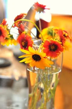 Flowers in a Vase Stock Photos