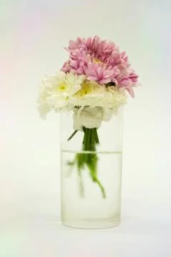 Flowers in a vase Foto stock