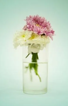 Flowers in a vase Foto stock