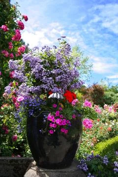Flowers in vase Stock Photos