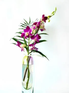 Flowers in the vase Stock Photos