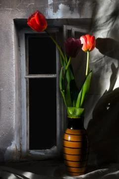 Flowers in a vase Stock Photos