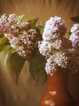 Flowers in the vase Stock Photos