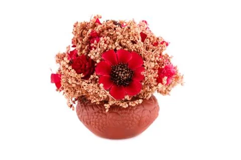 Flowers in vase Foto stock