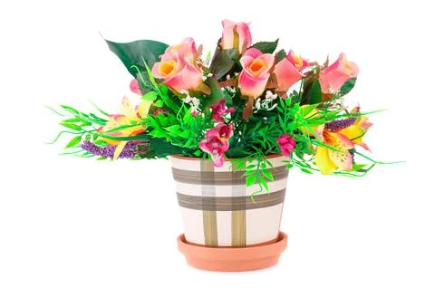 Flowers in vase Stock Photos