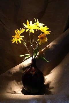 Flowers In Vase Stock Photos